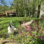 Un Sur Ile Tatil Evi *