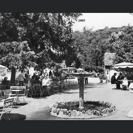 Un Sur Ile Saint-Bonnet-de-Rochefort